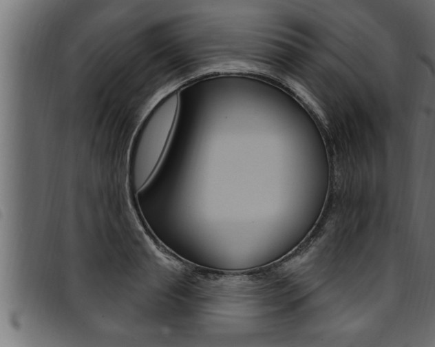 X0000094920845200711291020