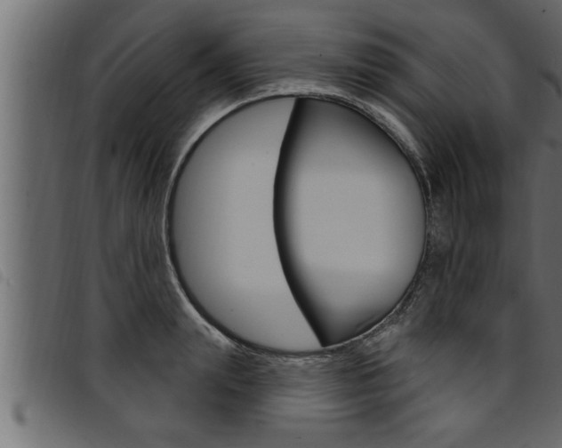 X0000094920847200711291021