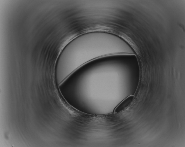 X0000094920850200711291021