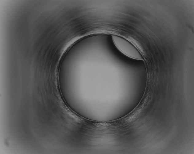 X0000094920854200711291021
