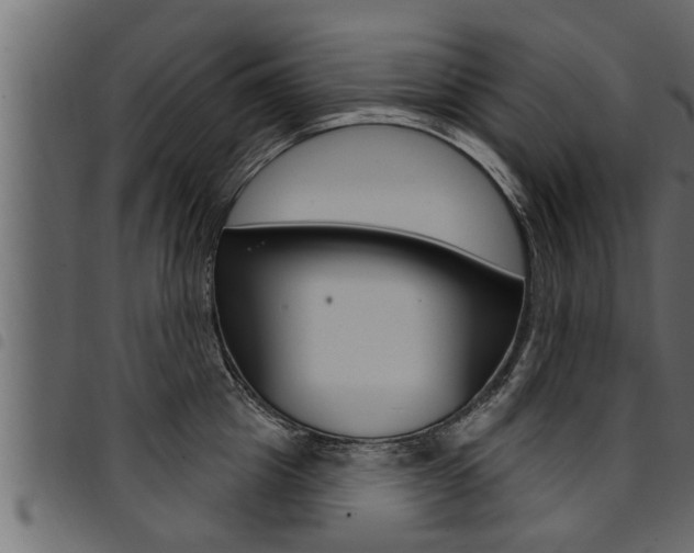 X0000094920857200711291021