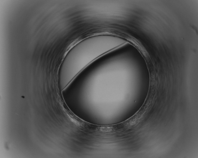 X0000094920858200711291021