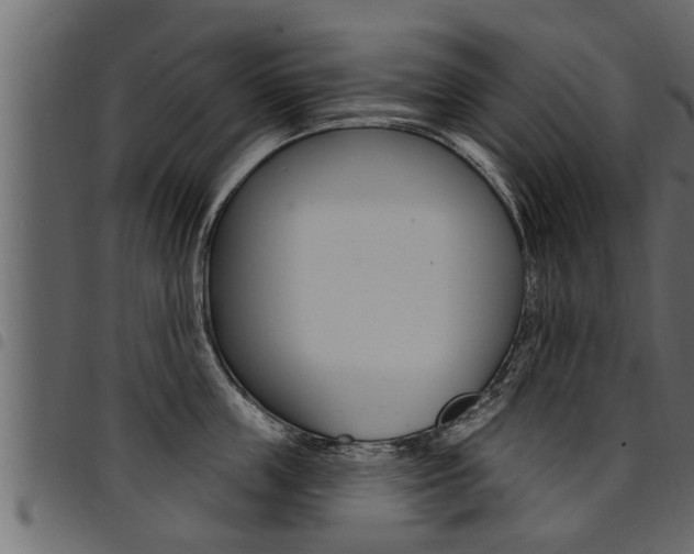X0000094920859200711291021
