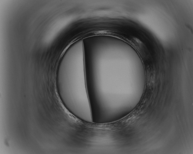 X0000094920861200711291021