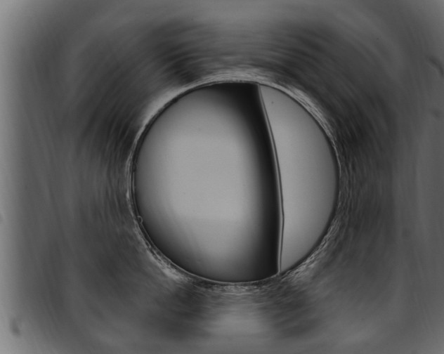 X0000094920862200711291021
