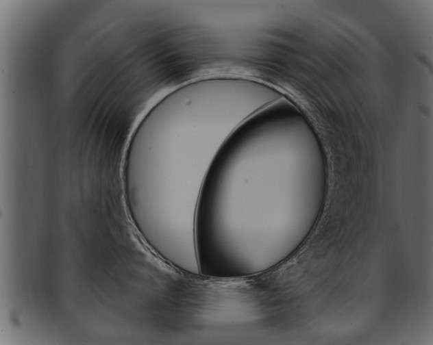 X0000094920864200711291021