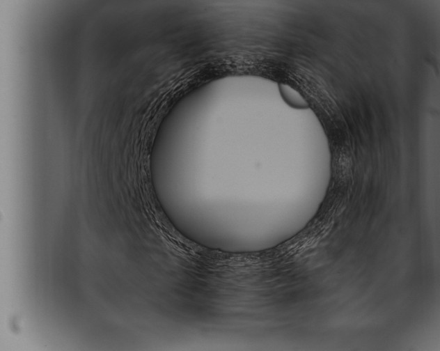 X0000094920865200711291020