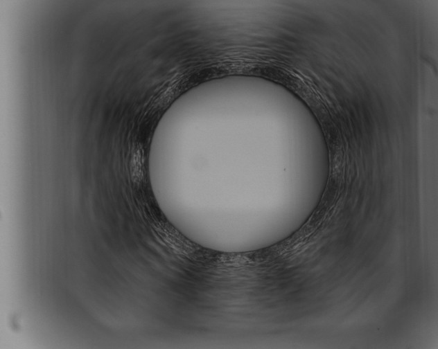 X0000094920866200711291020