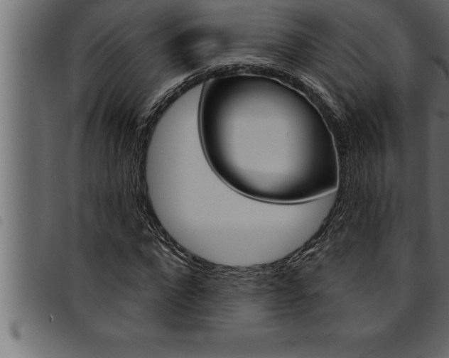 X0000094920872200711291020