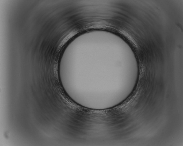 X0000094920874200711291020