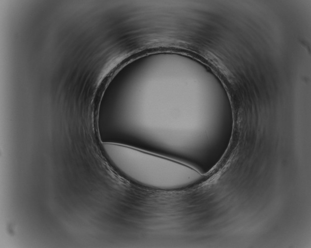 X0000094920877200711291020