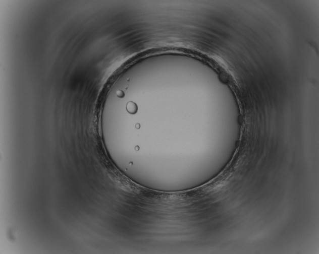 X0000094920879200711291020