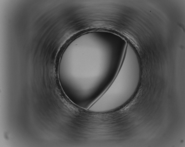 X0000094920880200711291020