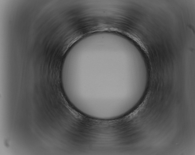 X0000094920881200711291020