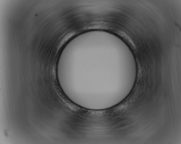 X0000094920882200711291020