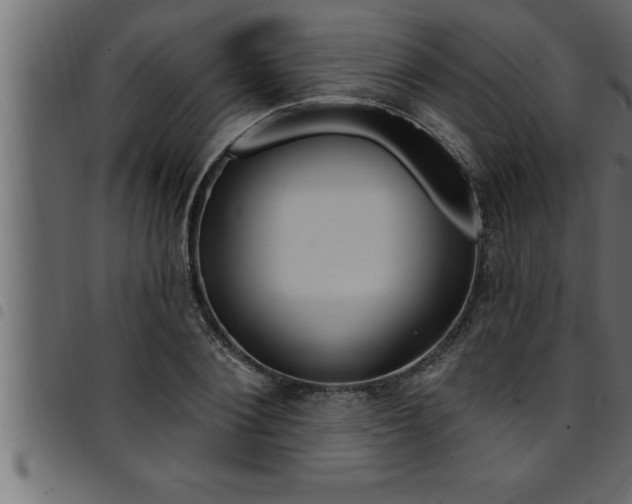 X0000094920884200711291020