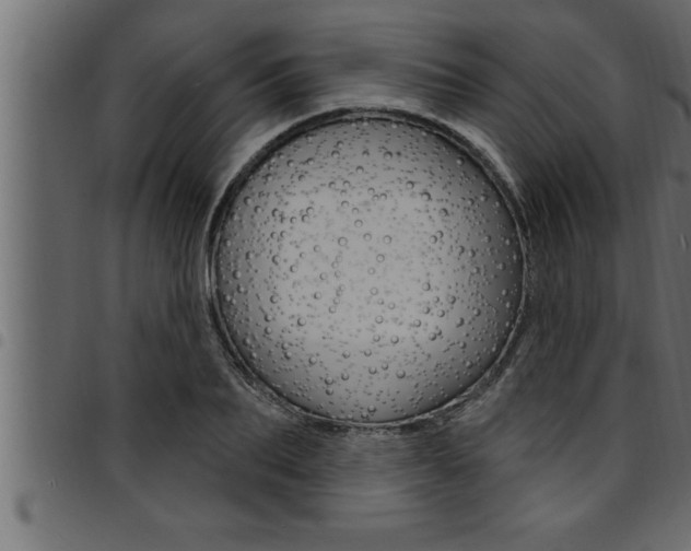 X0000094920887200711291020