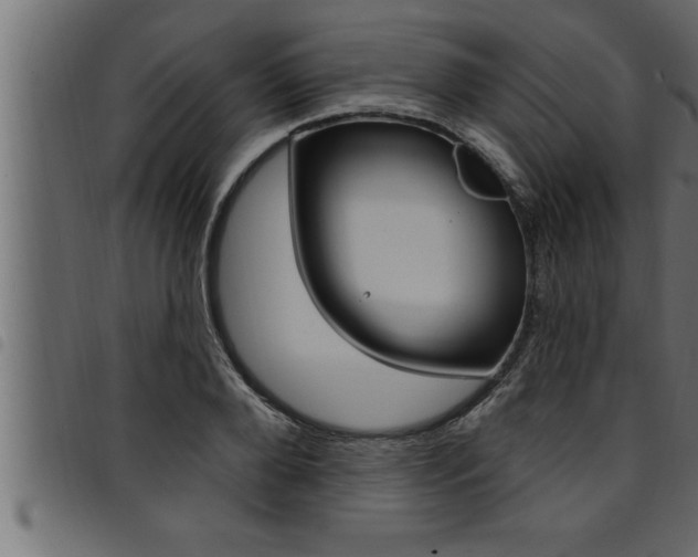 X0000094920888200711291020