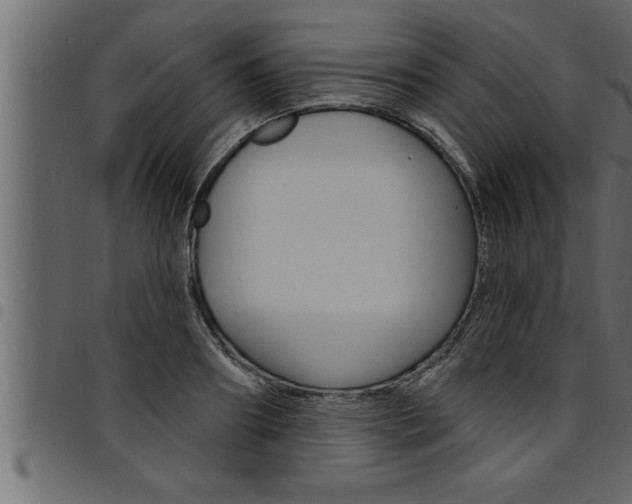 X0000094920890200711291020