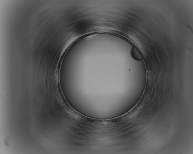 X0000094920891200711291020