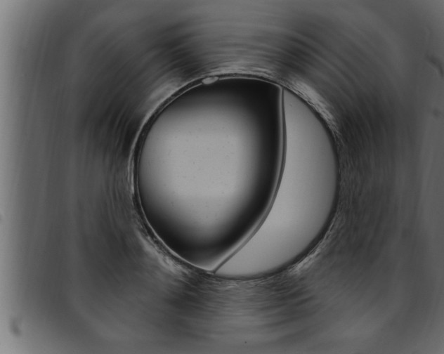 X0000094920892200711291020