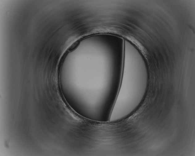 X0000094920894200711291020