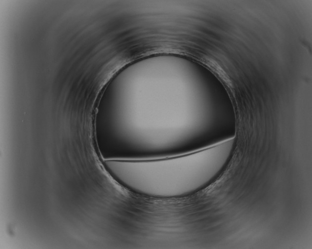 X0000094920898200711291019