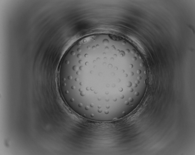 X0000094920899200711291019