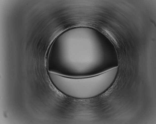 X0000094920900200711291019