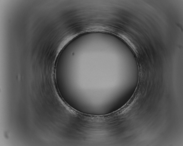 X0000094920901200711291019