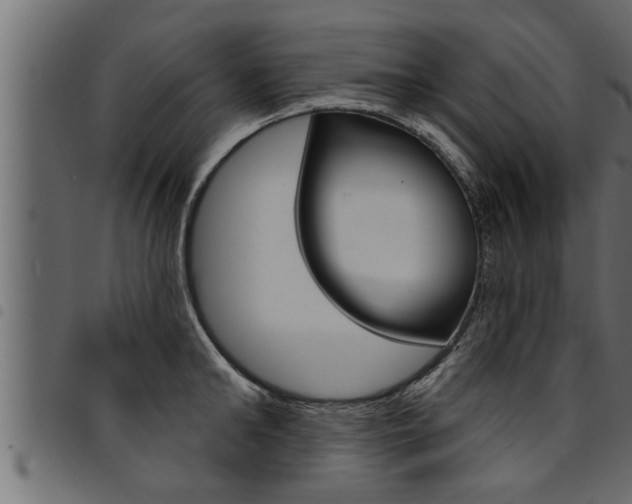 X0000094920902200711291019