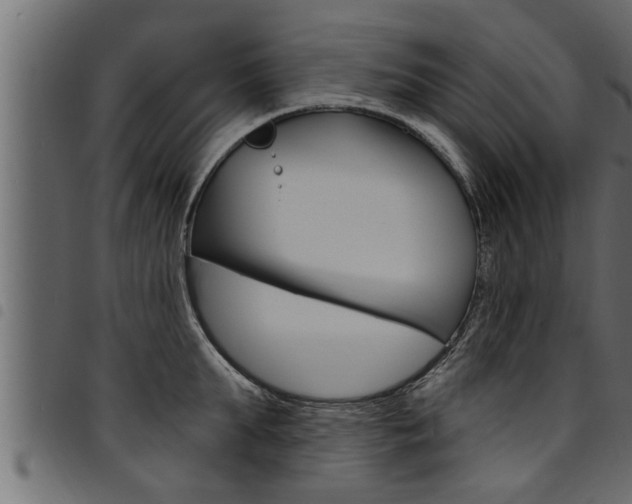 X0000094920903200711291019