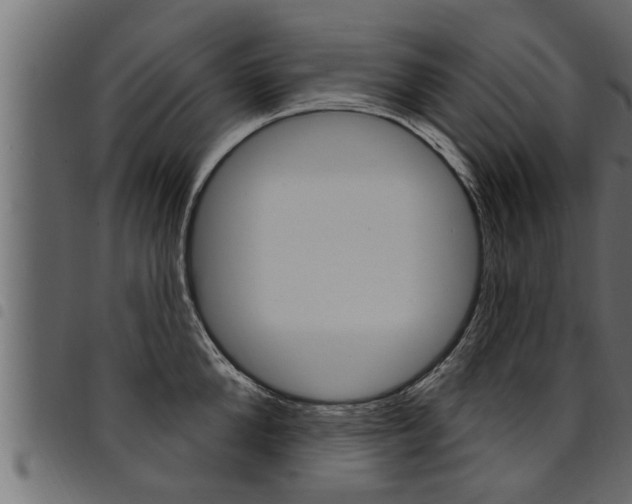 X0000094920904200711291019