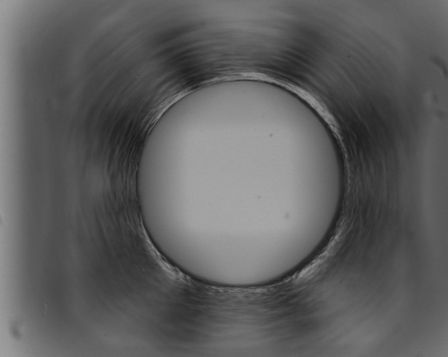 X0000094920905200711291019