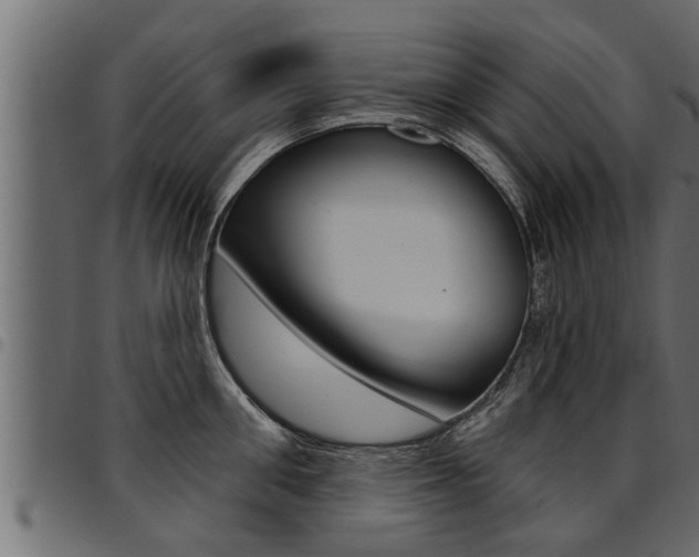 X0000094920906200711291019