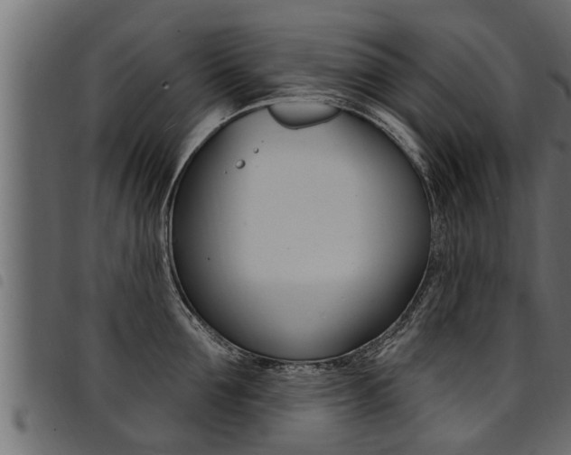 X0000094920907200711291019