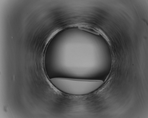 X0000094920909200711291019