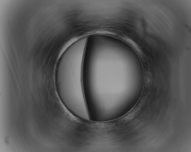 X0000094920910200711291019