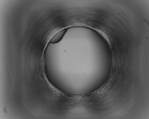 X0000094920911200711291019