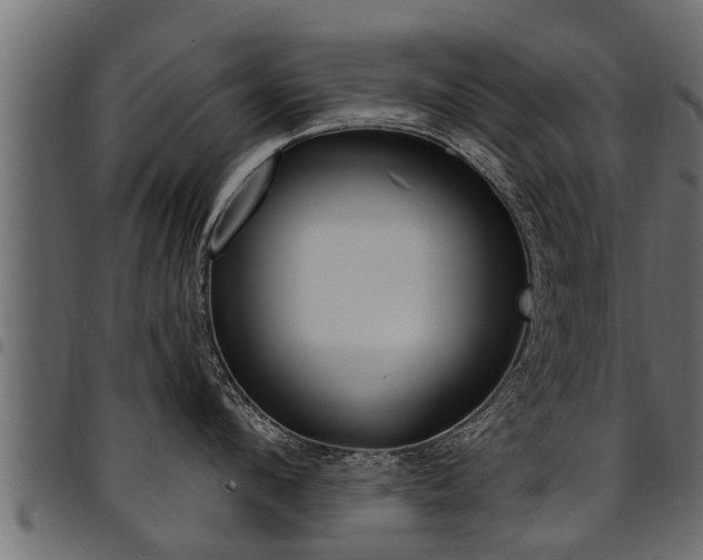 X0000094920912200711291019