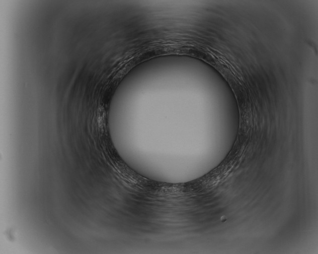 X0000094920914200711291019