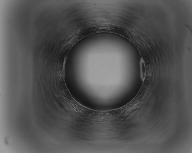 X0000094920916200711291019