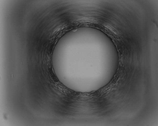 X0000094920917200711291019