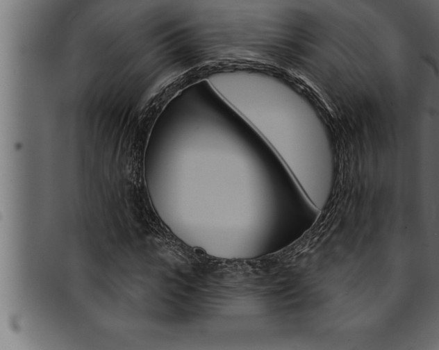 X0000094920919200711291019