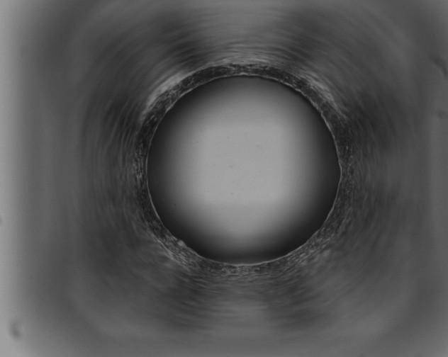 X0000094920920200711291019