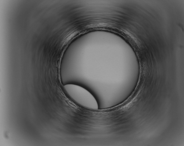 X0000094920921200711291019