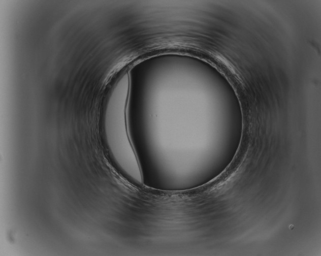 X0000094920922200711291019