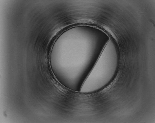 X0000094920923200711291019