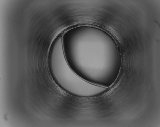 X0000094920924200711291019