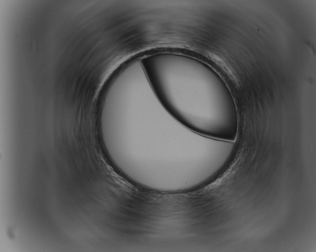X0000094920926200711291019